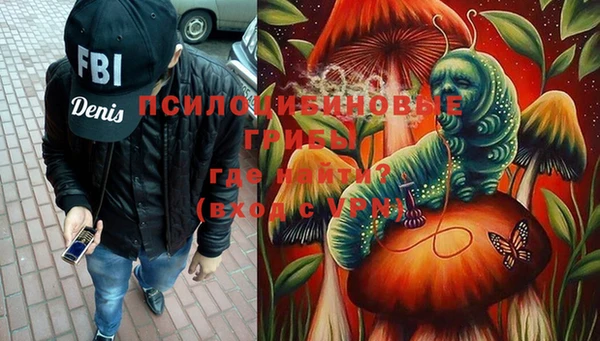 стафф Карпинск
