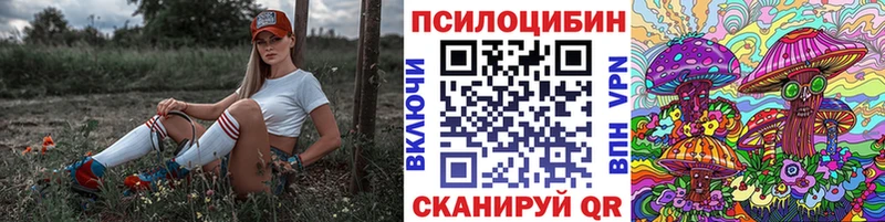 Галлюциногенные грибы Psilocybe  цены   это какой сайт  Кизляр  OMG сайт 