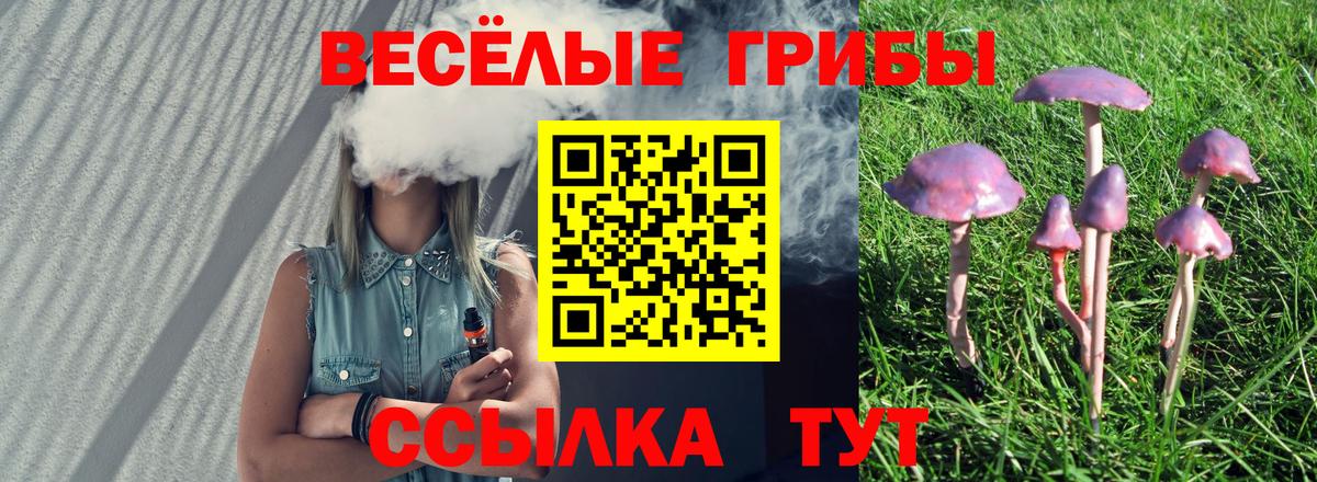 Галлюциногенные грибы Magic Shrooms  Вход с VPN  Псилоцибиновые грибы MAGIC MUSHROOMS  Кизляр 